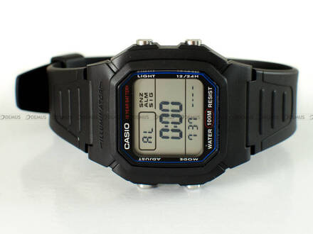 Casio W 800H 1AVES Zegarek Męski