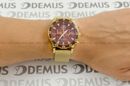 Zegarek Damski Vostok Europe Undine VK64-515B569B - Zestaw